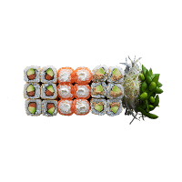 Roku RWP0508B Lot de 100 plateaux à sushis jetables avec couvercles – Très  grands, rectangulaires, en plastique noir, pour apéritifs, entrées ou  desserts – RWP0508B : : Maison